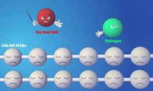 hydrogen hoat tinh trung hoa oxy